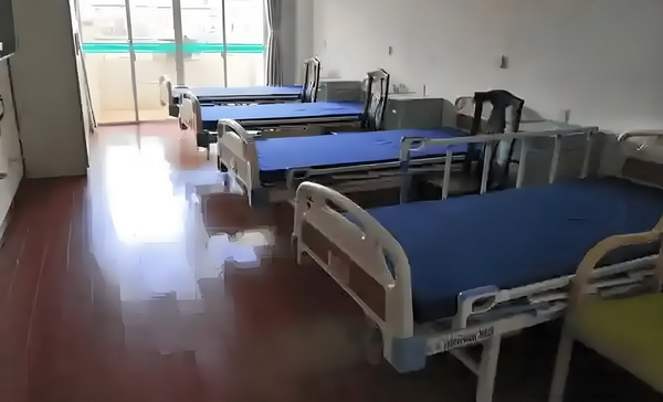 研究生学历是否可以落户深圳_人民日报评遛狗母女与孕妇冲突:法律面前没有网红 P自助生统&擎天成系